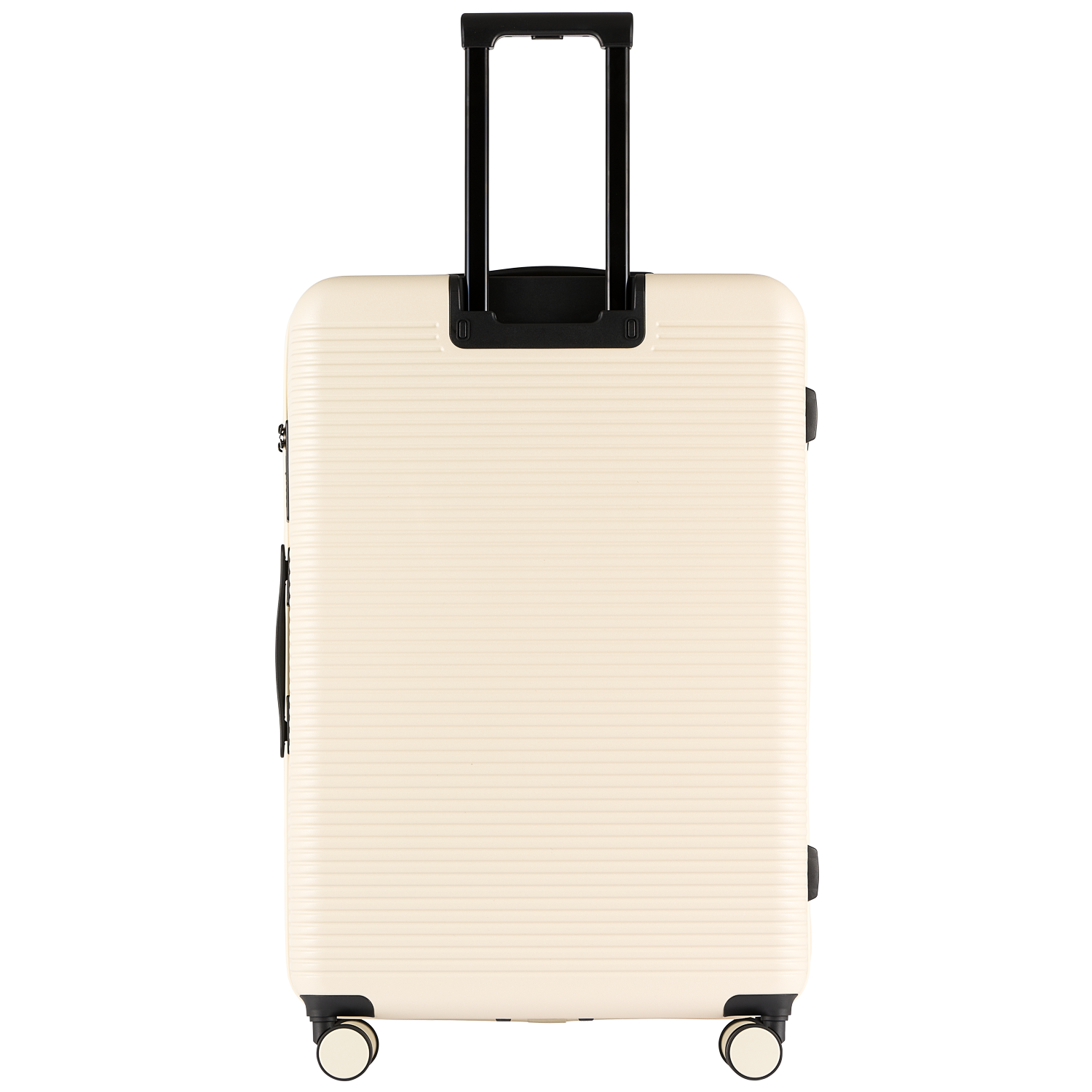 Signature - Creme XL